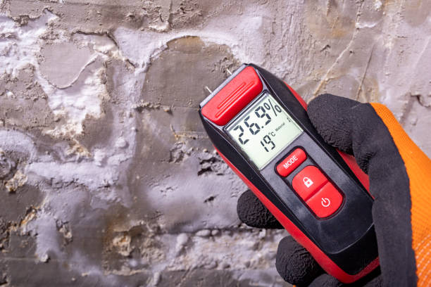 Best Water Damage Restoration  in Desloge, MO