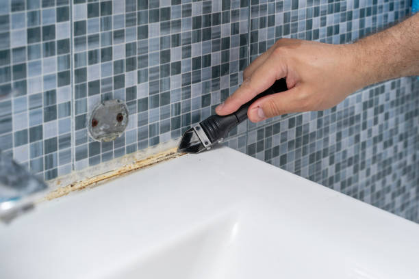 Best Mold Remediation  in Desloge, MO