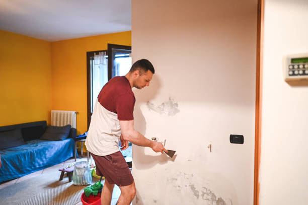 Best Mold Damage Repair  in Desloge, MO